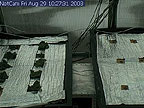 HMP image