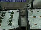 HMP image