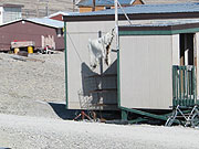 HMP image