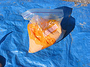 HMP image
