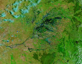 Modis image of the day