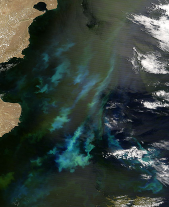 Modis image of the day