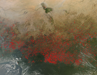 Modis image of the day