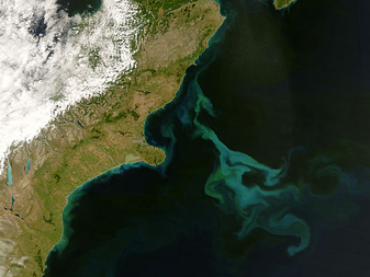 Modis image of the day
