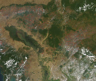 Modis image of the day