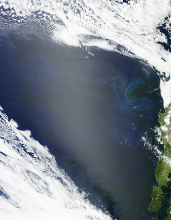 Modis image of the day
