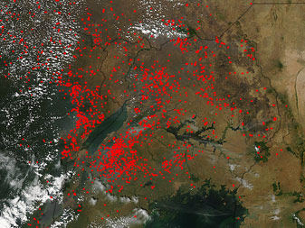 Modis image of the day