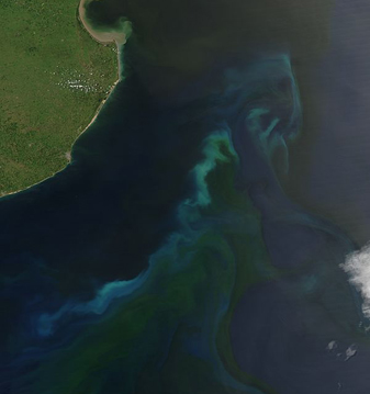 Modis image of the day
