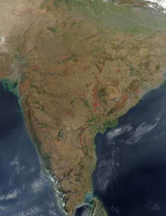Modis image of the day