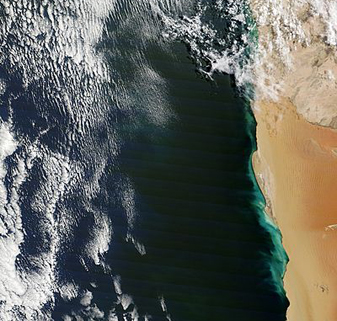 Modis image of the day