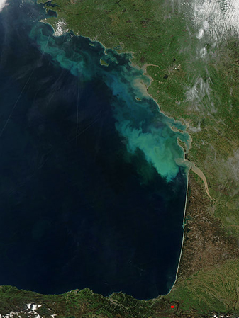 Modis image of the day