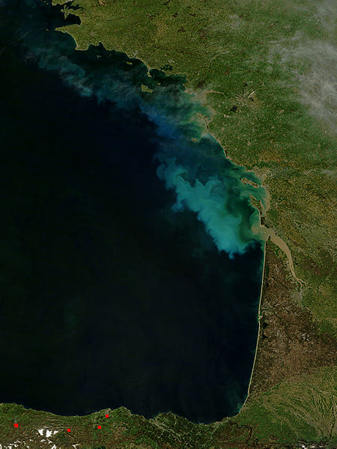 Modis image of the day