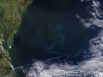 Modis image of the day