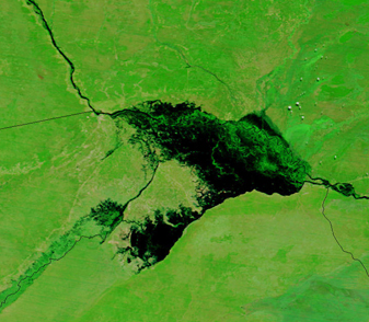 Modis image of the day