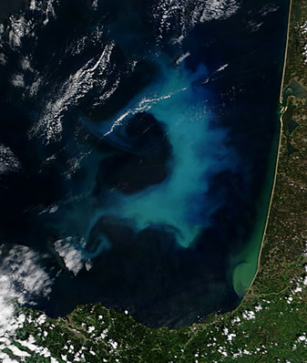Modis image of the day