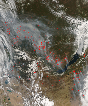 Modis image of the day
