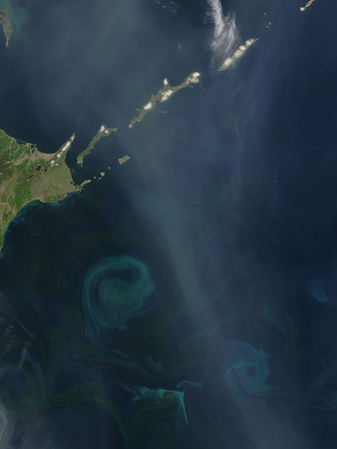 Modis image of the day