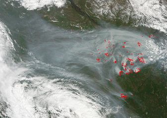 Modis image of the day