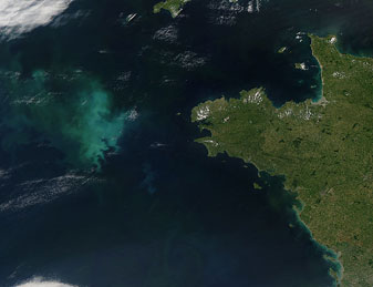 Modis image of the day