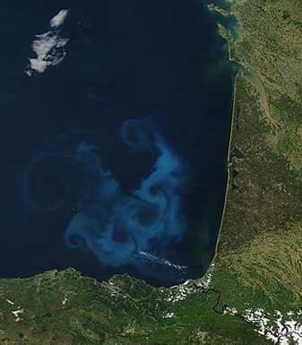 Modis image of the day