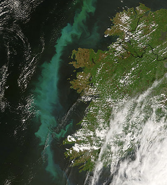 Modis image of the day