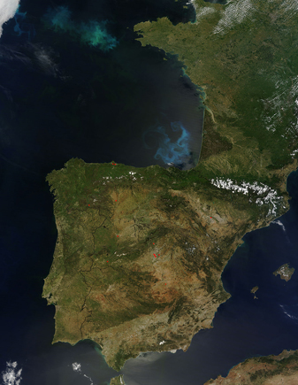 Modis image of the day