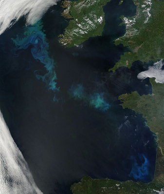 Modis image of the day