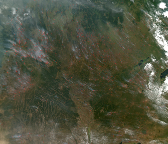 Modis image of the day