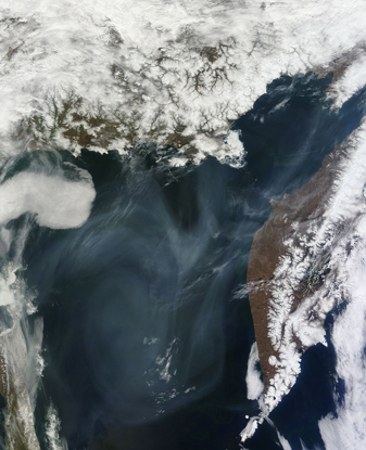Modis image of the day