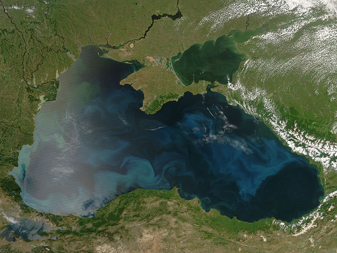 Modis image of the day