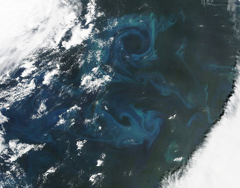 Modis image of the day