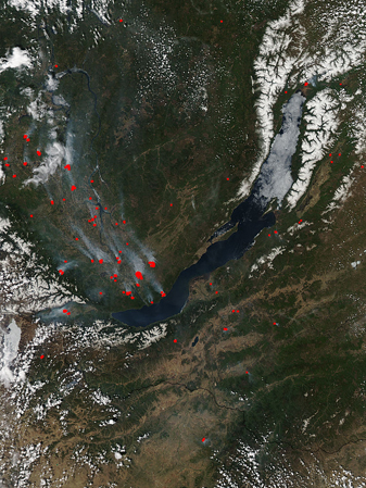 Modis image of the day