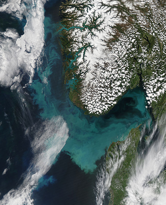 Modis image of the day