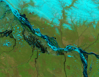 Modis image of the day