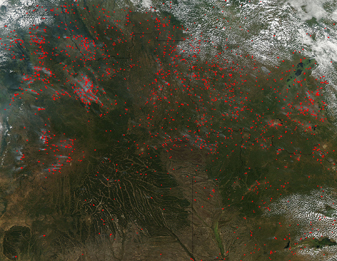 Modis image of the day