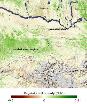 Modis image of the day