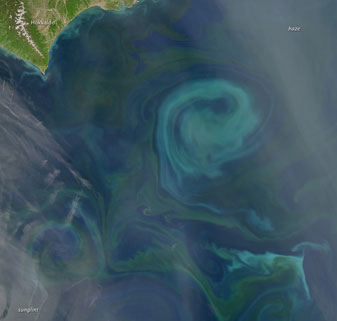 Modis image of the day