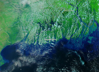 Modis image of the day