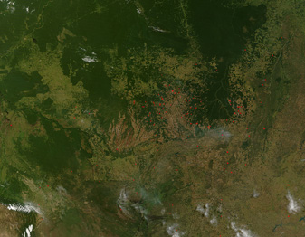 Modis image of the day
