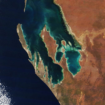 Modis image of the day