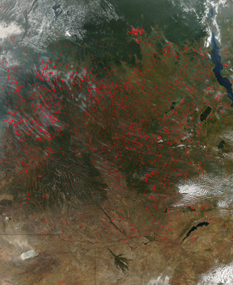 Modis image of the day