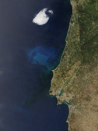 Modis image of the day