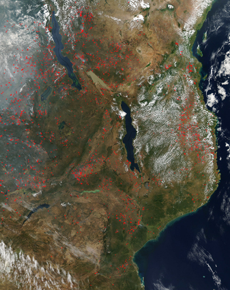 Modis image of the day