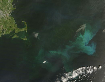 Modis image of the day