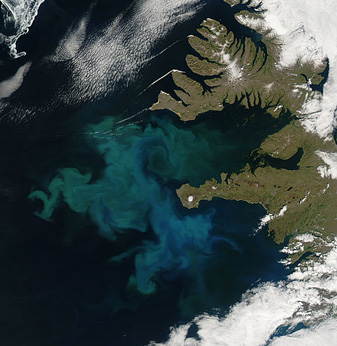 Modis image of the day