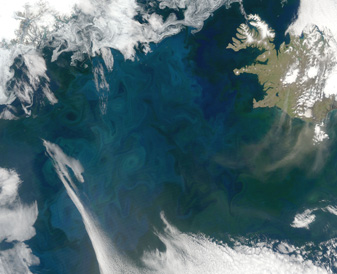 Modis image of the day