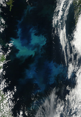 Modis image of the day