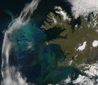 Modis image of the day