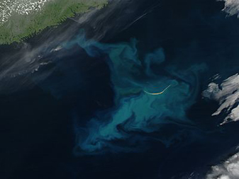 Modis image of the day