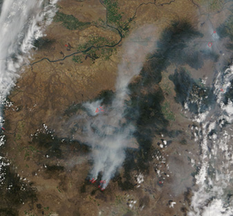 Modis image of the day